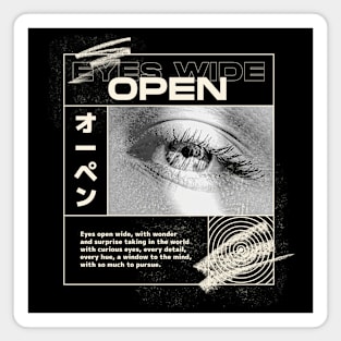 Eyes Wide Open Eye Truth Perception Magnet